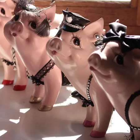 Bed & Breakfast Gavalier Design