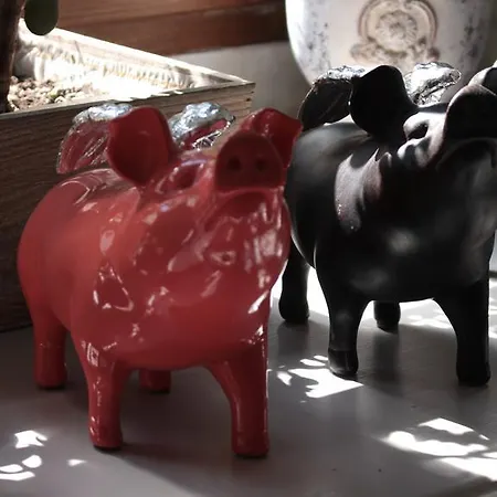 Nocleg ze śniadaniem Gavalier Design Banská Štiavnica